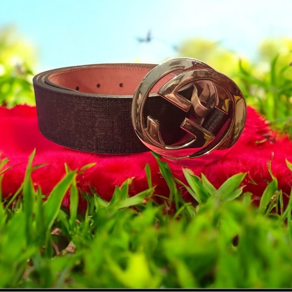 Gucci dark Brown Belt with Gold Buckle - Picture 1 of 4